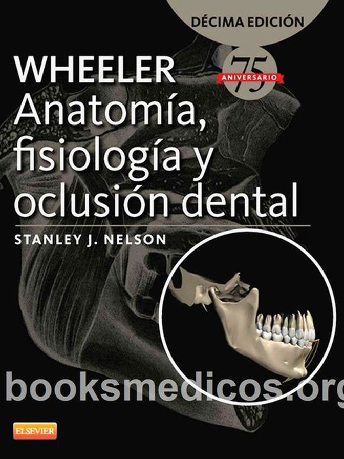 Wheeler Anatomía, fisiología y oclusión dental - Stanley Nelson