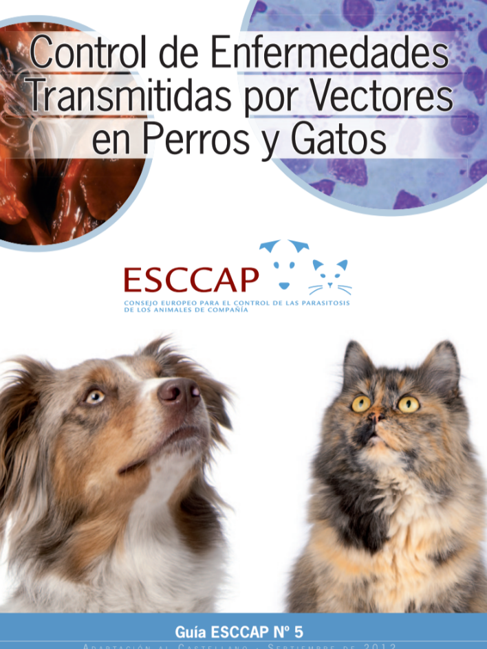 Control de enfermedades transmitidas por vectores en perros y gatos - ESCCAP