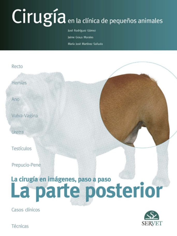 La Cirugía en imágenes, paso a paso: La parte posterior